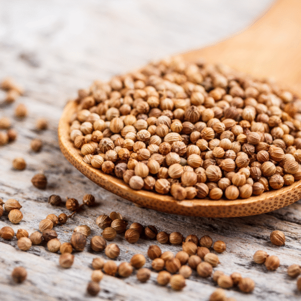 CORIANDER (MEDIUM VARIENT) 1KG - Image 2