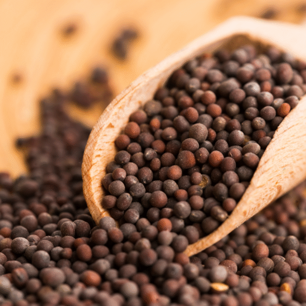 BLACK MUSTARD SEEDS (TOP VARIANT) 1KG - Image 2