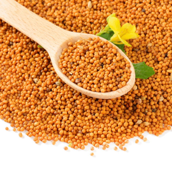 WHITE MUSTARD SEEDS (TOP VARIANT) 1KG - Image 2