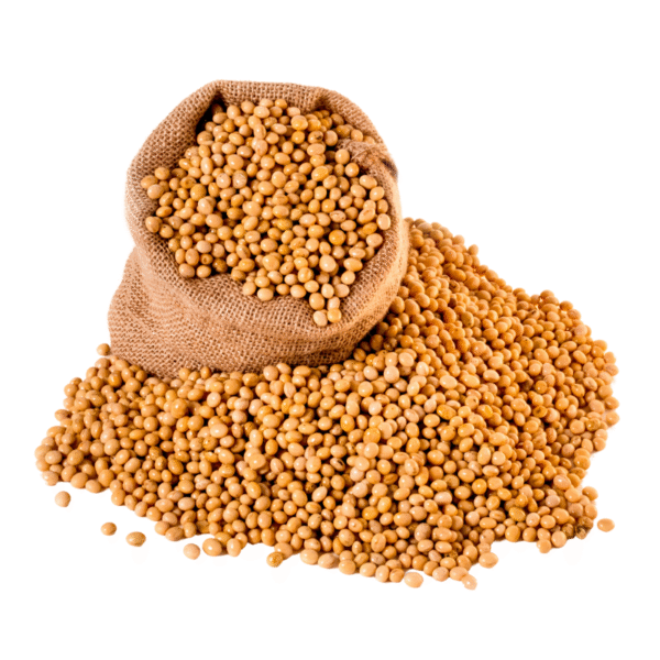 WHITE MUSTARD SEEDS (COMMON VARIENT) 1KG - Image 2