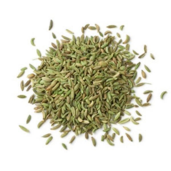 ANISEED (BASE VARIANT) - Image 2