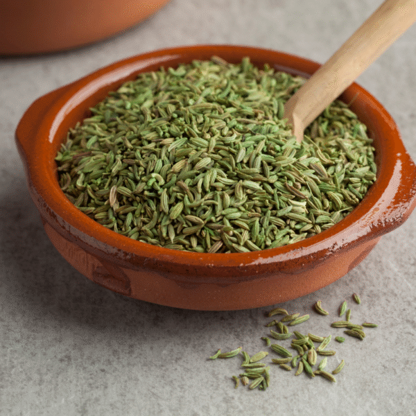 ANISEED (BASE VARIANT)