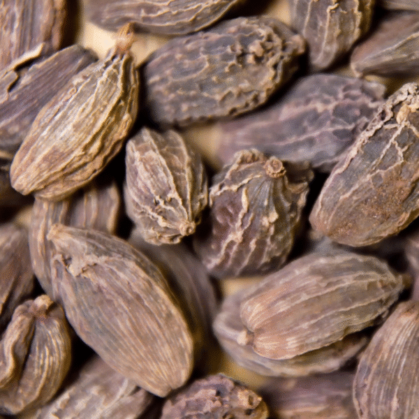 BLACK CARDAMOM - Image 2