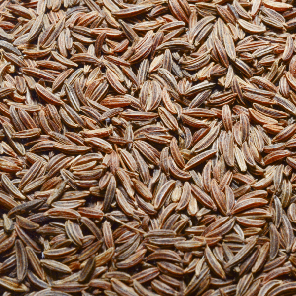 CARAWAY - Image 2