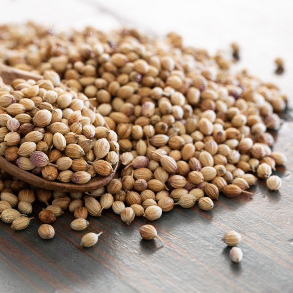 CORIANDER (TOP VARIENT) 1KG - Image 2